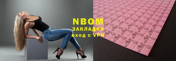индика Абаза